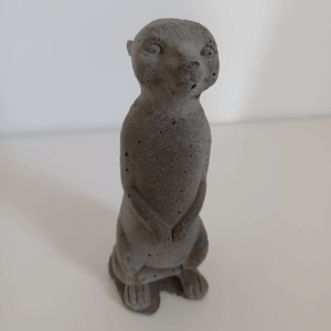 house0026 cement meerkat